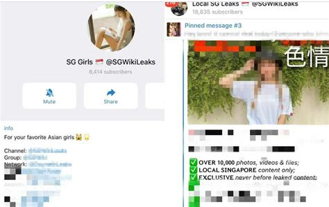 sg mega leaks|Telegram group circulating obscene images allegedly。